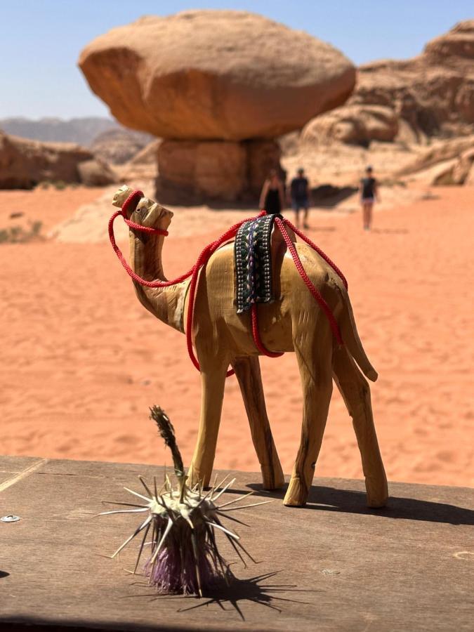 Wadi Rum Oryx Hostel & Tours Екстериор снимка